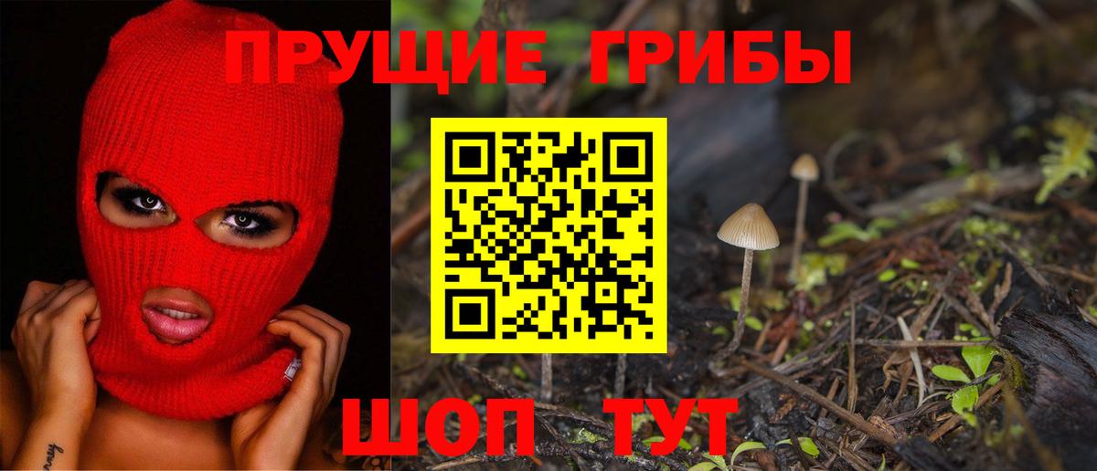Псилоцибиновые грибы прущие грибы Губаха