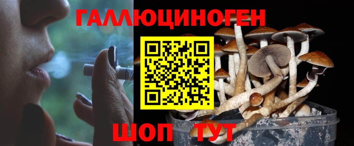 Губаха  Псилоцибиновые грибы мицелий  Галлюциногенные грибы MAGIC MUSHROOMS  Вход с VPN 